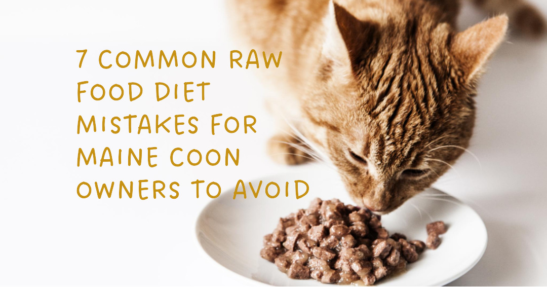 7 Common Food Mistakes for cat lovers to Avoid