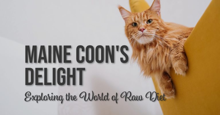 Unlocking the Potential of Maine Coon Raw Diet: A Comprehensive Guide