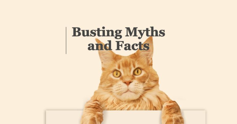 Addressing Concerns: Myths and Facts About Maine Coon Raw Food Diets