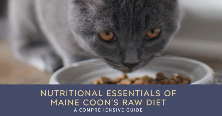 Nutritional Essentials of Maine Coon’s Raw Diet: A Comprehensive Guide