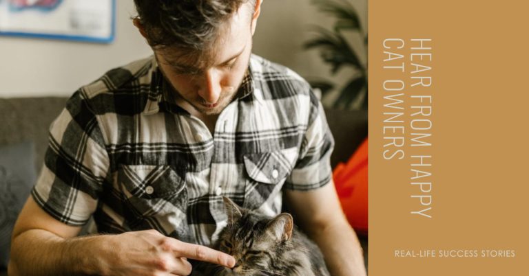 Testimonials from Maine Coon Owners: Real-Life Success Stories