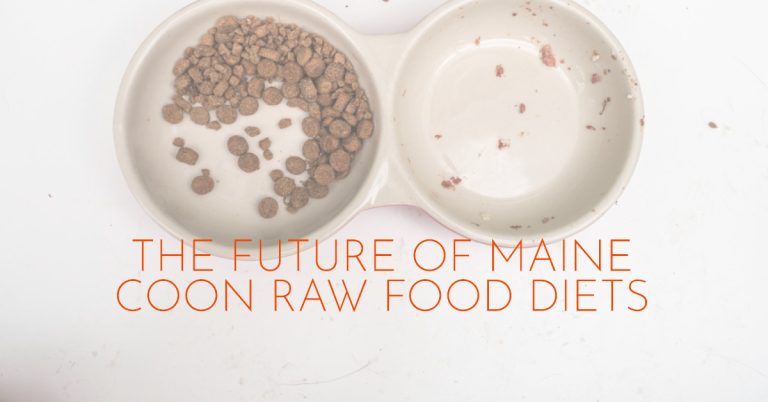 The Future of Maine Coon Raw Food Diets: What’s Next?