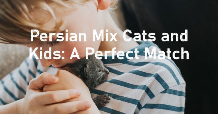 Maine Coon Persian Mix and Kids: A Perfect Match