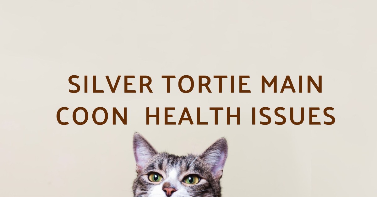 Maine Coon Health Issues